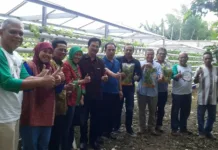 Kemenkop Dorong Bisnis Hidroponik KUKM Masuki Pasar Modern