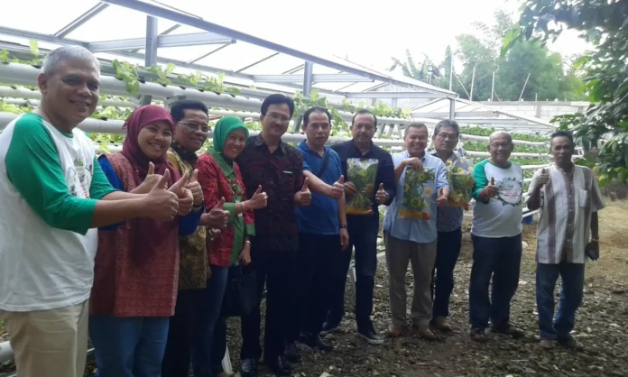 Kemenkop Dorong Bisnis Hidroponik KUKM Masuki Pasar Modern