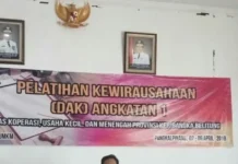 Pola Kemitraan Bisa Perkuat UMKM Hadapi Pasar Bebas