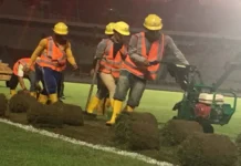 Rumput Stadion Utama Gelora Bung Karno Mulai Dipindahkan