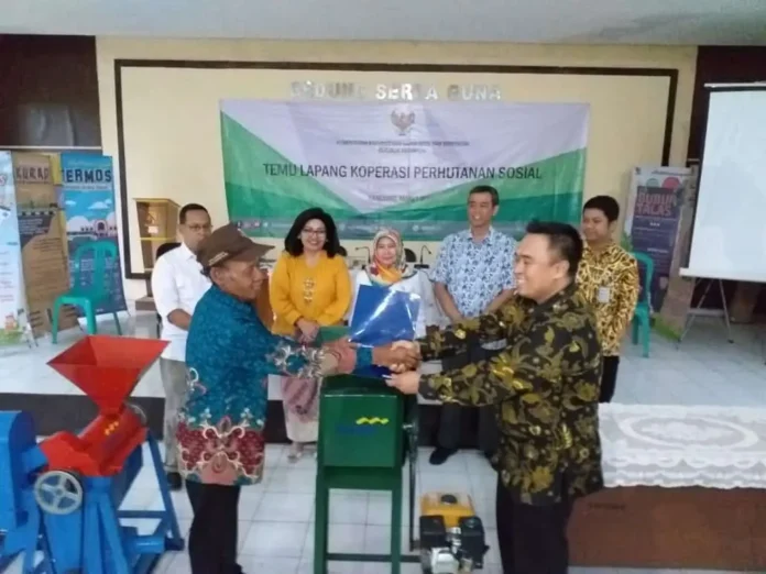 Kemenkop UKM Perkuat Petani Kehutanan Melalui Koperasi