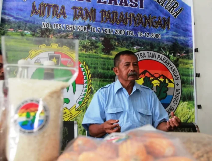 Tingkatkan Produksi Jagung, Koperasi Tani Penuhi Pakan Ternak