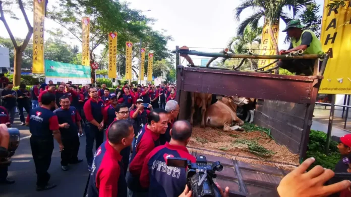 Sambut Hari Raya Idul Adha, AGP Tebar Hewan Kurban di 228 Titik