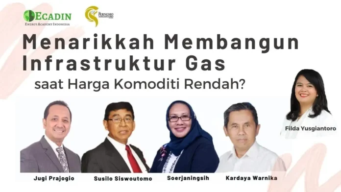 Menarikkah Membangun Infrastruktur Gas saat Harga Komoditi Rendah?