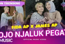 Lirik Lagu Ojo Njaluk Pegat - Fida AP X James AP