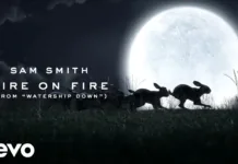 Lirik Lagu Fire on Fire dan Terjemahan - Sam Smith