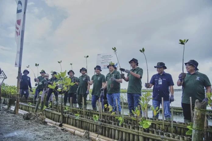 BNI Tanam 2.000 Bibit Mangrove di Teluk Benoa Bali