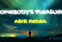 Lirik Lagu Somebody's Pleasure - Aziz Hedra