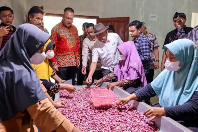 Menkop UKM: Hilirasi Bawang Merah Jadi Solusi Jitu Tingkatkan Kesejahteraan Petani Brebes