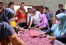 Menkop UKM: Hilirasi Bawang Merah Jadi Solusi Jitu Tingkatkan Kesejahteraan Petani Brebes