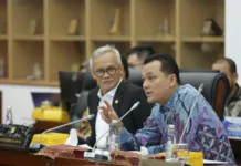 Komisi VI DPR RI Dukung Usulan PMN PLN untuk Program Listrik Desa