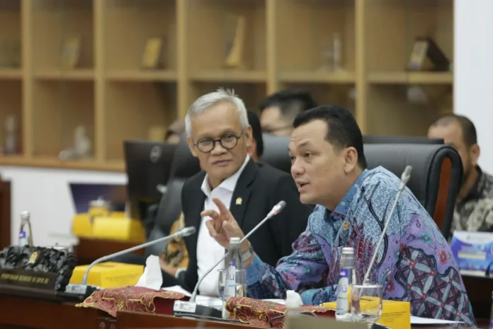 Komisi VI DPR RI Dukung Usulan PMN PLN untuk Program Listrik Desa