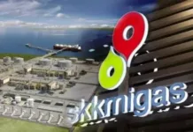 Berhasil Kembangkan Blok Jabung, SKK Migas Nilai Investasi PetroChina Makin Agresif