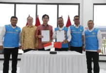 Kaji Potensi Energi Angin di Indonesia, PLN Jalin Kolaborasi Dengan Powerchina