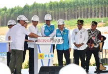 Presiden Jokowi Groundbreaking Pembangunan PLTS PLN 50 MW di IKN Nusantara, Hadirkan 100 Persen Energi Bersih