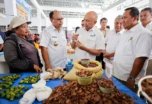 Kemenkop UKM Revitalisasi Pasar Kareka Nduku Selatan untuk Penuhi Kebutuhan Masyarakat Sumba Barat