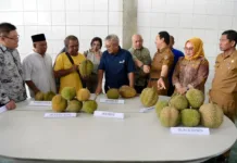 Kemenkop UKM: Ekosistem Bisnis Kondusif, Durian Lokal Mampu Bersaing di Pasar Global