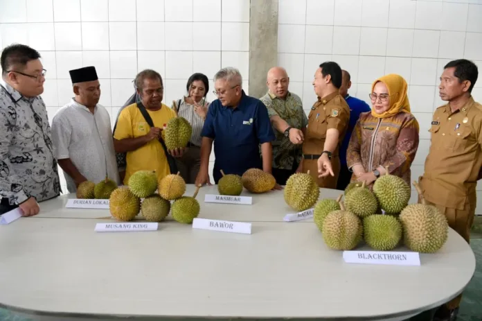 Kemenkop UKM: Ekosistem Bisnis Kondusif, Durian Lokal Mampu Bersaing di Pasar Global