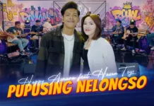 Lirik Lagu Pupusing Nelongso - Happy Asmara, Hasan Toys