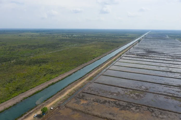 Pemerintah Luncurkan Program Cetak Sawah untuk Perkuat Ketahanan Pangan